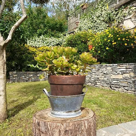 Prázdninový dům Collina E Mare *