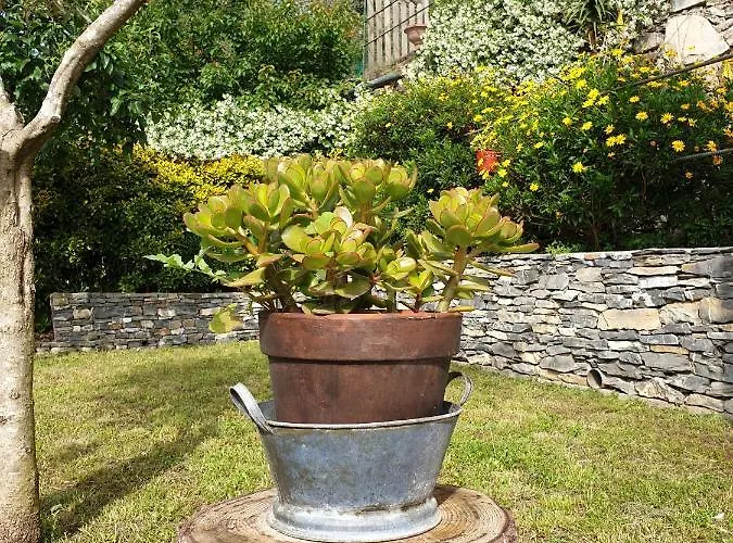 Semesterbostad Collina E Mare *