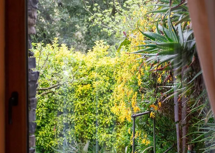 Collina E Mare Semesterbostad