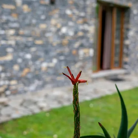 Collina E Mare
