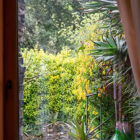 Collina E Mare Holiday home