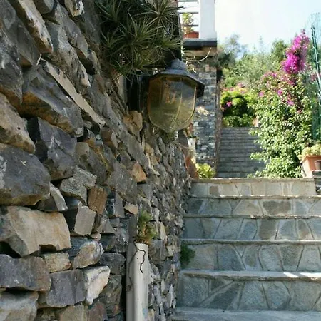 Collina E Mare Camogli