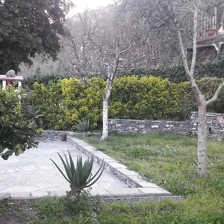 Collina E Mare Holiday home Camogli