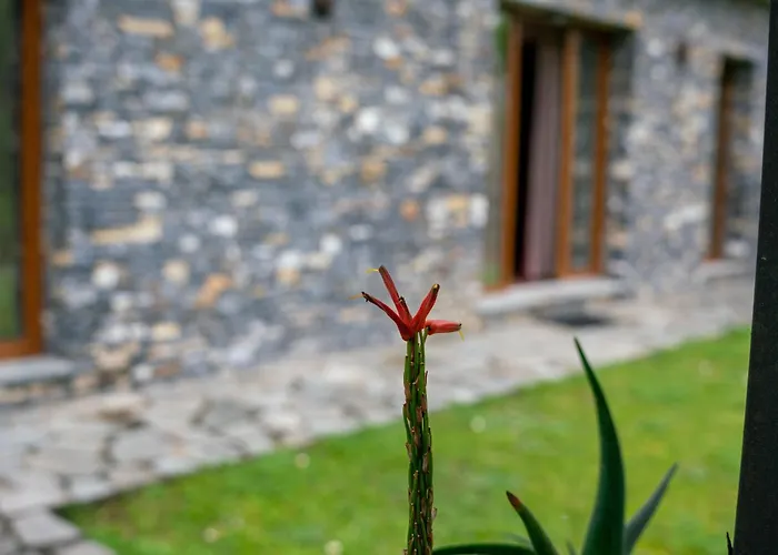 Collina E Mare
